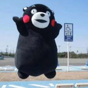 Dreamer头像