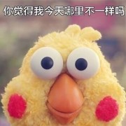 冬小默头像