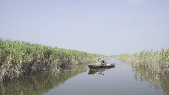 洞庭湖卫士
