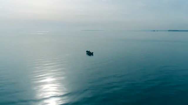 海参哥
