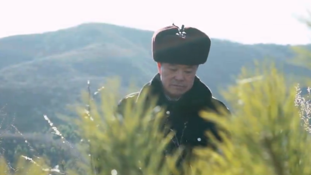 巡山老董