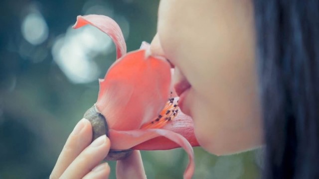 春之味：四月花语