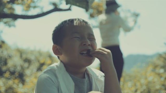 杨梅红了