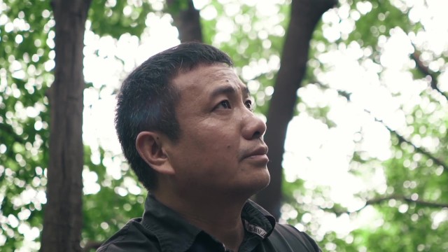 向后看