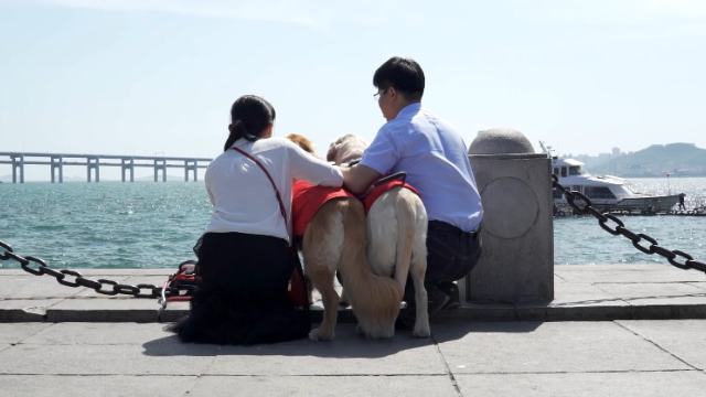 看不见的恋人