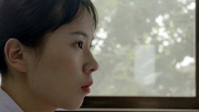 勤劳的双手 第八期 柜前“姣”龙