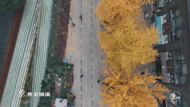 起风了