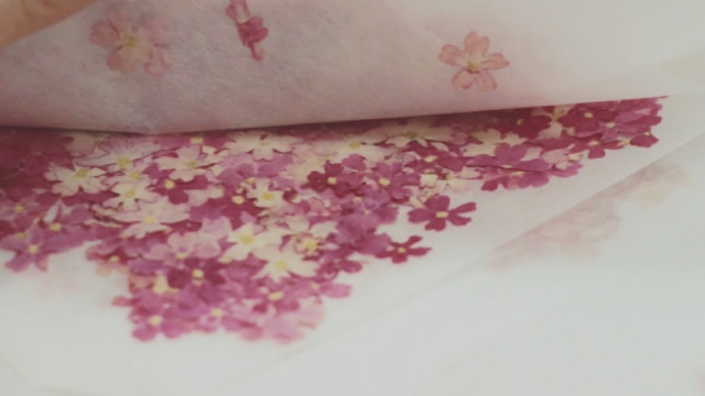 花之密语