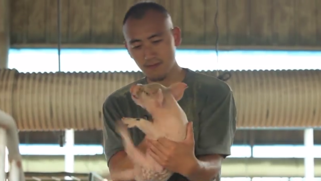 西门肉肉哥