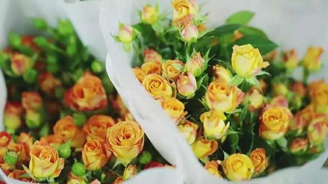幸福像花儿一样