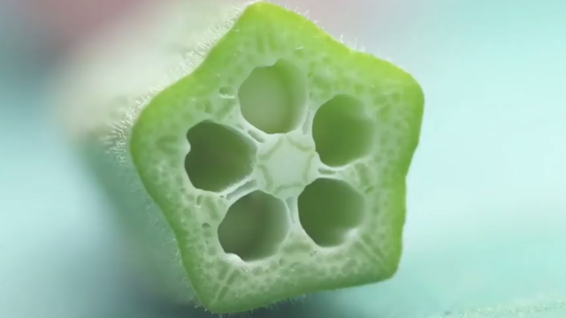 璞素