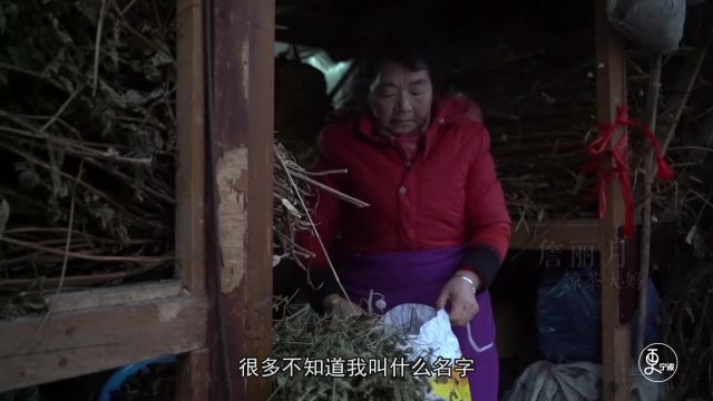 凉茶大妈