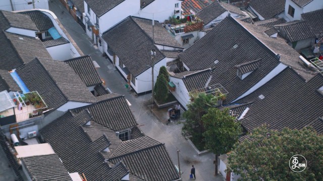虎虎生机