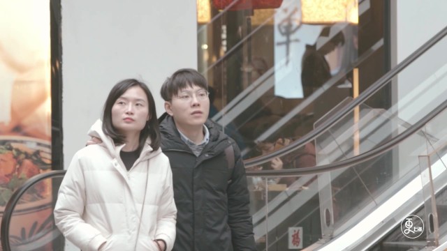 假领子的春天